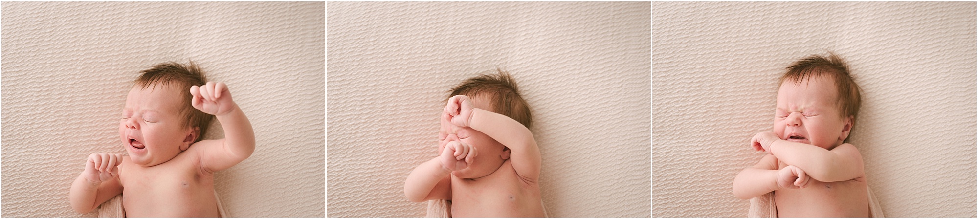 newborn photography southern maine